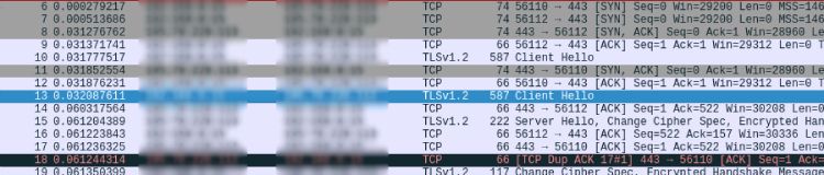 Captura de pantalla donde se muestran los datos cuando inciamos sesion en un WordPress con certificado SSL activo