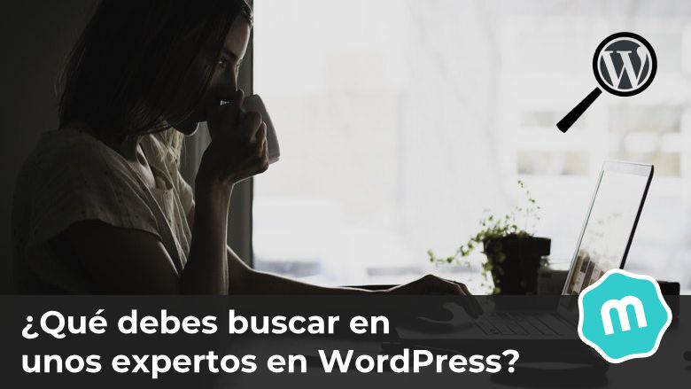 Que debes buscar en unos expertos en WordPress