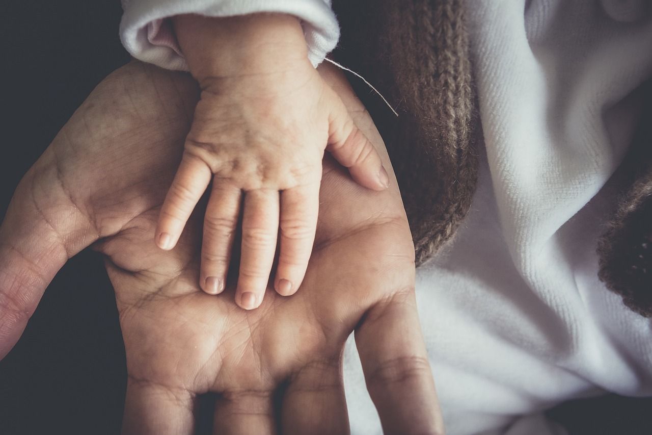 Child themes o temas hijos en WordPress – Primera Parte