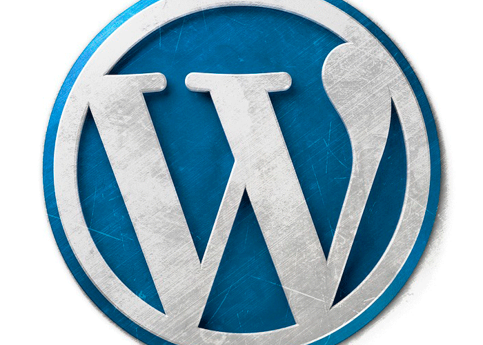 Diccionario WordPress – Humano