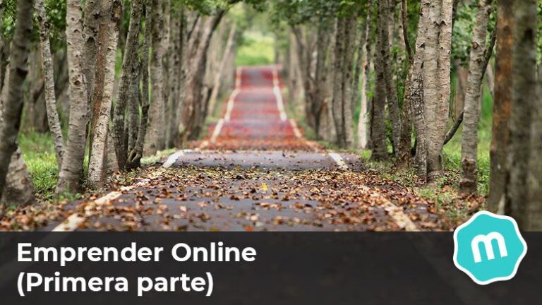 Emprender online. (Primera parte).