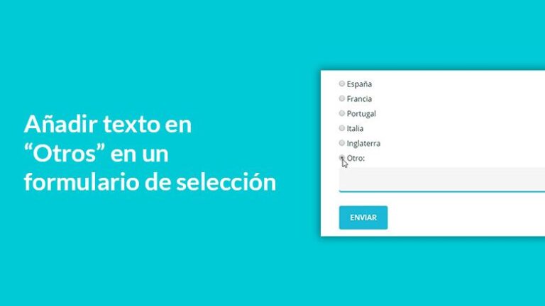 Añadir texto a la opción otros en Contact Form 7