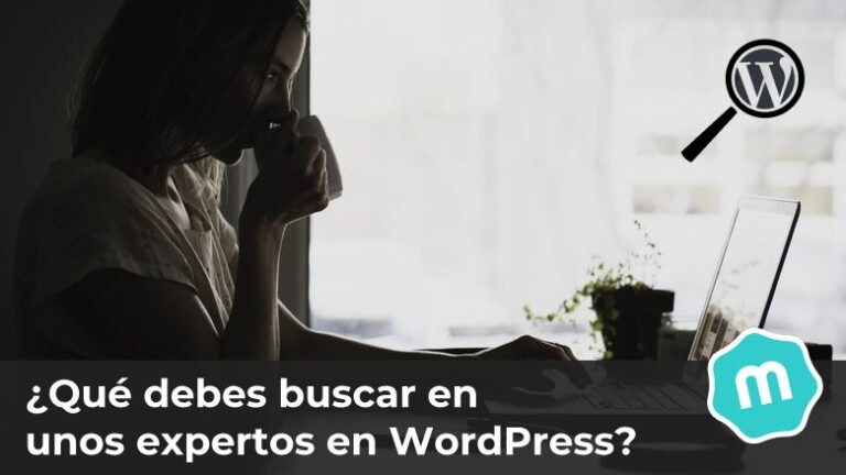 ¿Qué debes buscar en unos expertos en WordPress?
