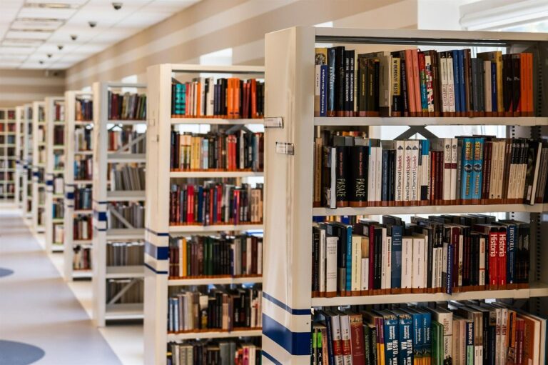 Taxonomías personalizada, categorías y etiquetas o como organizar mejor a tu contenido – Parte 1
