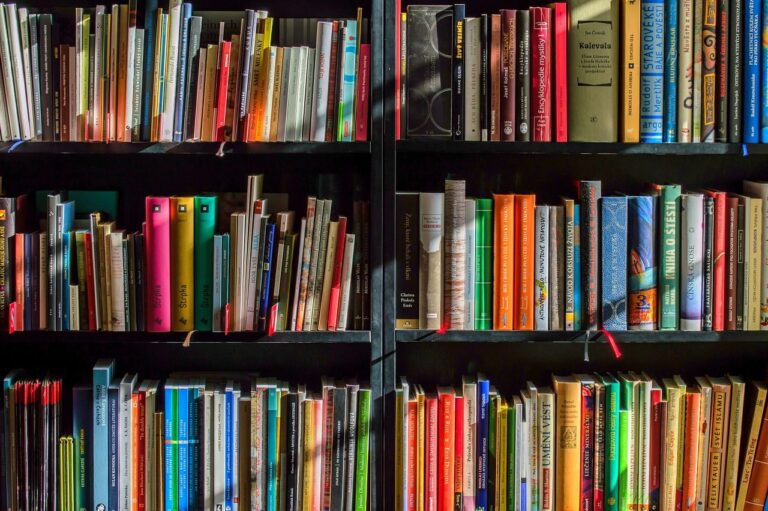 Taxonomías personalizada, categorías y etiquetas o como organizar mejor a tu contenido – Parte 2